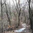 봉양1통 이미지