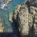 [일요산행]해파랑길 1코스 시작의 트레킹~! 이미지