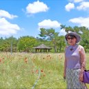 화이트 하우스 이미지