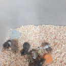 도봉-도봉-서울도봉-2286 이미지