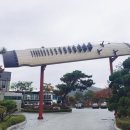 첼로와 거문고 이미지