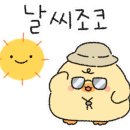 사지목 나무그늘 이미지