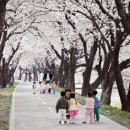 한가로운