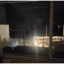 독채팬션멜로디 이미지