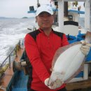 광어한마리 이미지