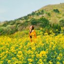 구천리  마을회관 | [거제/유채]거제면 평지마을