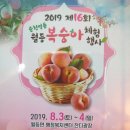 월등면 행정복지센터 이미지