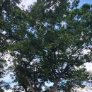 내장산국립공원화장실(야영장) 이미지