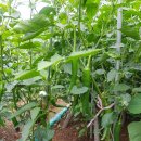 재영농장 이미지