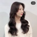 헤어갤러리타운
