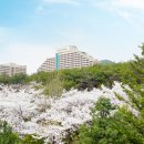 황금노래연습장 - 동래구 사직북로19번길 17 | 단양 가족 여행 코스 숙소 추천 올인클루시브 포함 소노벨 단양 오션플레이 패키지 특가 정리