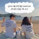 아꼬떼 | 강아지 여름 산책 꿀템 꼬떼아꼬떼 굿럭 쿨링 크롭탑 세트 후기