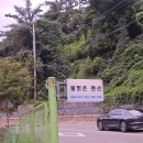 맑은물펜션 | 여름휴가 대구 근교 계곡 성주계곡 평상 대여 가능한 물맑은펜션 방문기