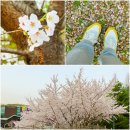 정발산공원 화장실-2 이미지