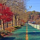 청주가로수길 이미지