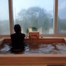 도고면 도고저수지길 이미지