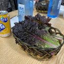 다운목살구이식당 이미지