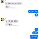 초이스모텔 | [대전/중앙로역] 강아지랑 대전 다녀온 수기
