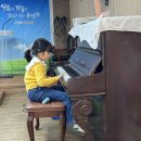 나비야화장품