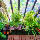 장대뱅크 이미지