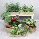 금오시장 이미지