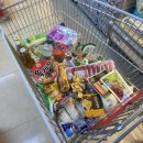 온실속베니 이미지