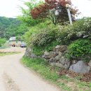 유명산하늘아래펜션 이미지