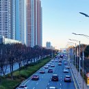 국제대로 이미지