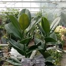 둥지 당구장 이미지