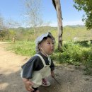 성문안 목장 | [춘천] 서울근교 아기랑 갈만한곳 해피초원목장 다녀온 내돈내산 솔직후기 !