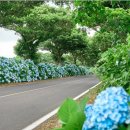 4공단로-27 이미지