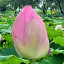 부여테마여행 이미지