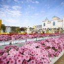 임실치즈펜션 이미지