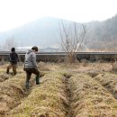 농부의아침영농조합법인 이미지