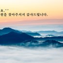혜광한의원 이미지