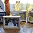 가평비타민팜체험농장 이미지