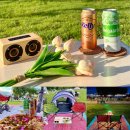 신반포로43길 11-15 | 반포 한강공원 돗자리 텐트 대여 피크닉 배달존 위치