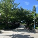 화도진공원(공중) 이미지