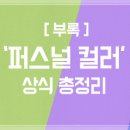스타일엑스 카카오 검색결과