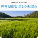 수산동충전소 이미지