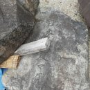 돌산초등학교 이미지