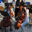 솔빛공원 2 이미지