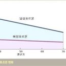 남자 남성 갱년기 증상 나이 이미지