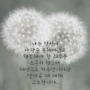 책속의행복 이미지