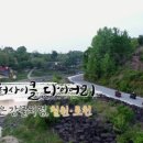 [안도마을]방풍나물 네이버블로그