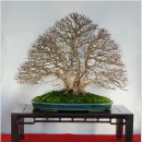 소사4로 이미지