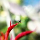 용마공인중개사사무소 이미지