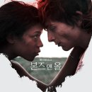 올앤올(ALL & ALL)
