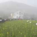 더난