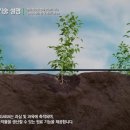 (주)마이크로자임 네이버블로그